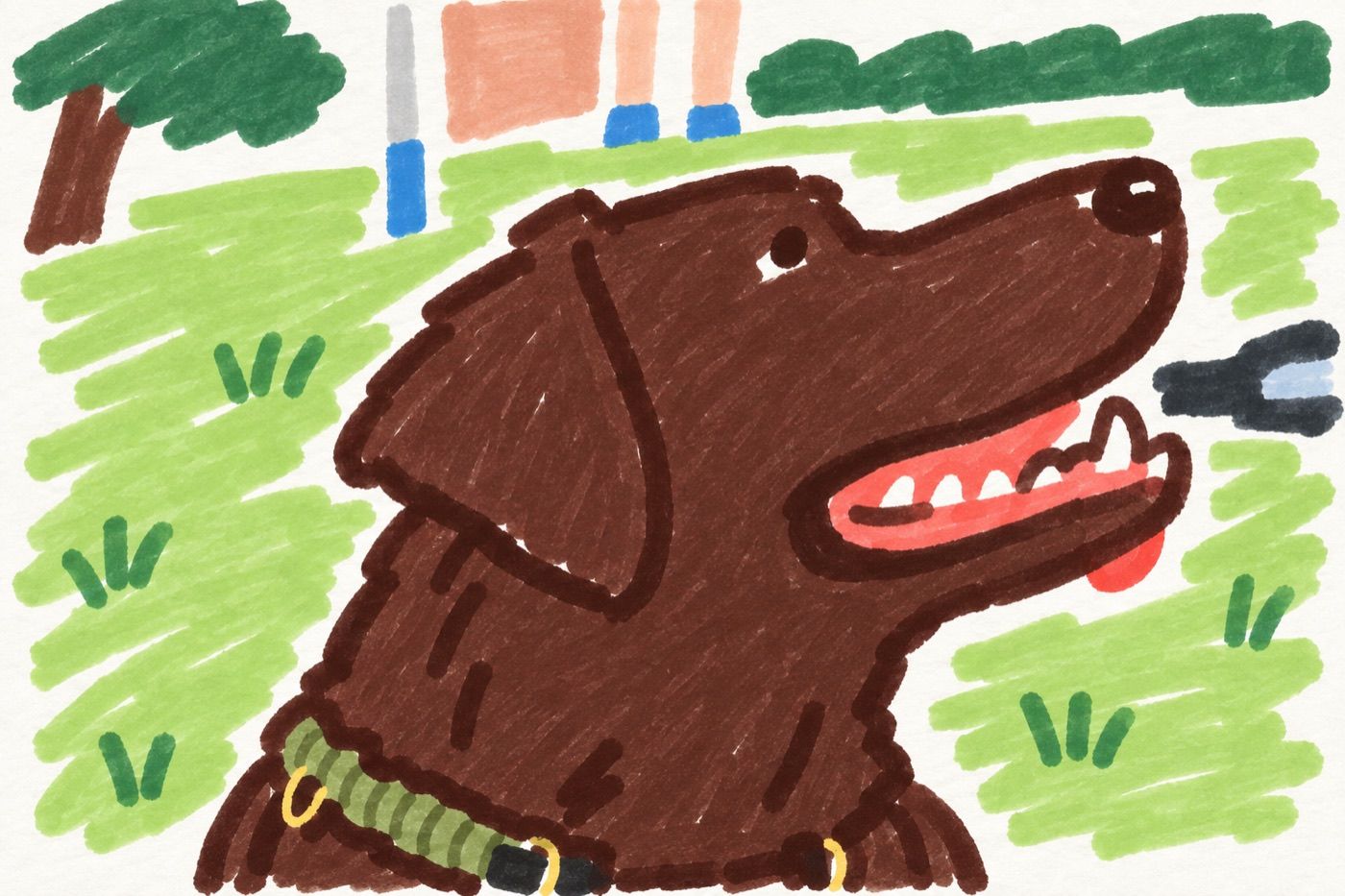 Marker drawing of a chocolate labrador looking up, tongue out, in a green park